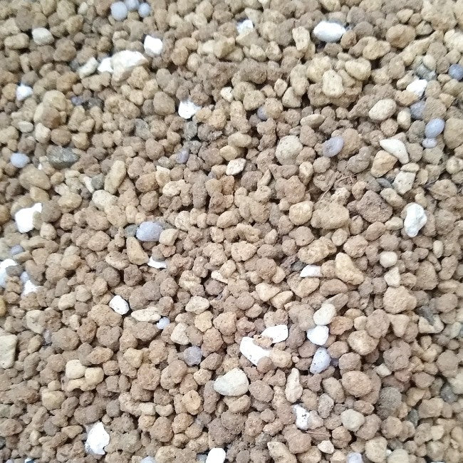 プラントブラザーズ 塊根植物用の土 排水性重視 2L