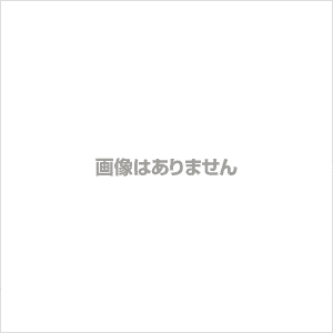 【現品限り】チレコドン・シングラリス e117 202112 Tylecodon