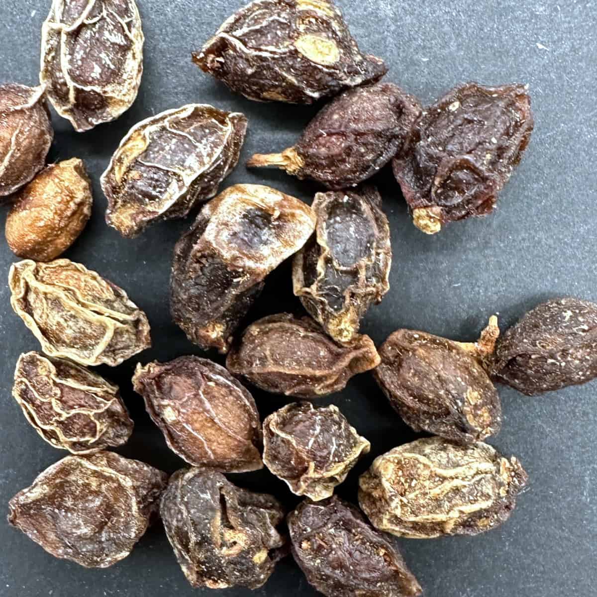 【種】キフォステンマ・クローリー(カローリ) / Cyphostemma currori