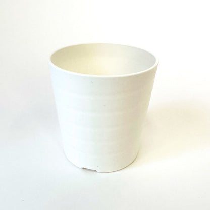 セラアート 長鉢 2.5号 ホワイト プラ鉢