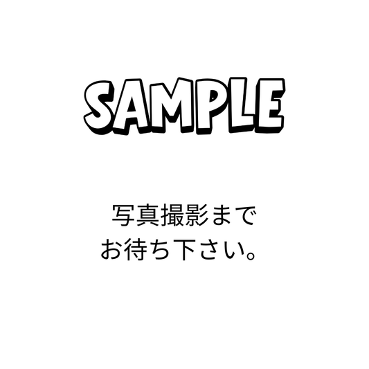 セラアート 長鉢 6号 ホワイト プラ鉢