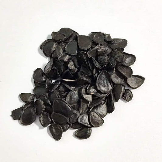 Agave chrysantha / アガベ・クリサンサ