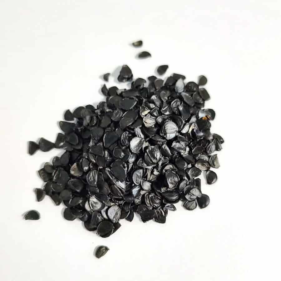 Agave titanota / アガベ・チタノタ・ブルー