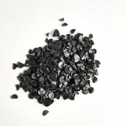 Agave titanota / アガベ・チタノタ・ブルー