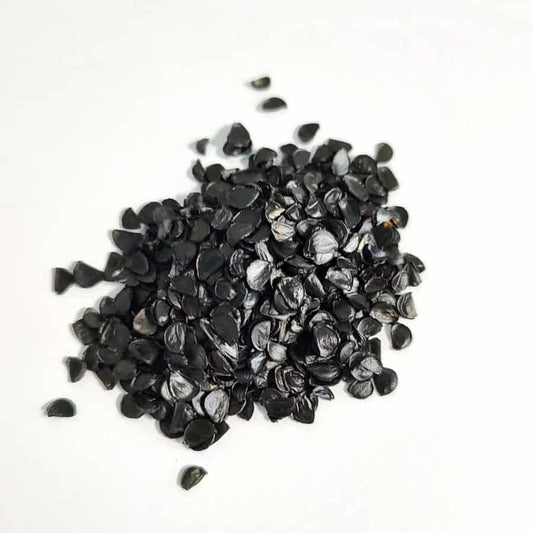 Agave titanota / アガベ・チタノタ・ブルー