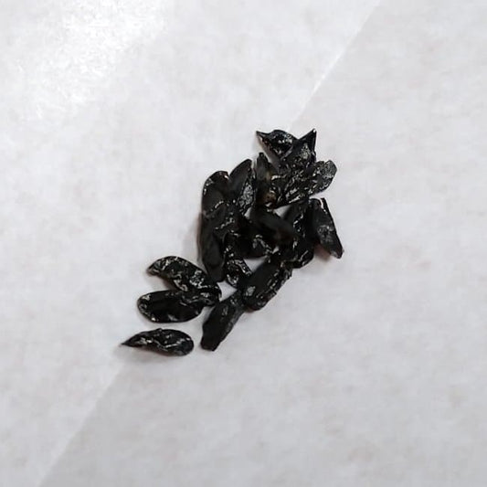 Bowiea volubilis / ボウィエア・ボルビリス 蒼角殿