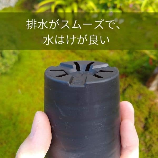セラアート 長鉢 2.5号 ブラック プラ鉢 – プラントブラザーズ