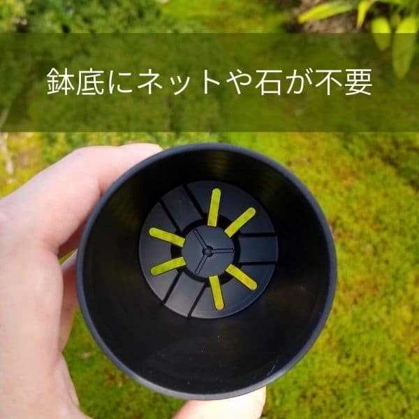 セラアート 長鉢 2.5号 ブラック プラ鉢 – プラントブラザーズ