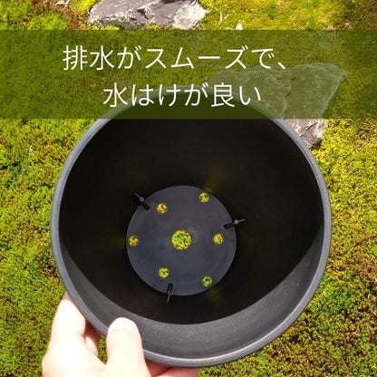 セラアート 長鉢 6号 ブラック プラ鉢