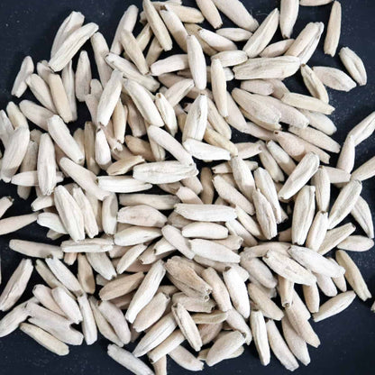 Adenium arabicum Dwarf / アデニウム・アラビカム ドワーフタイプ [栽培採種]