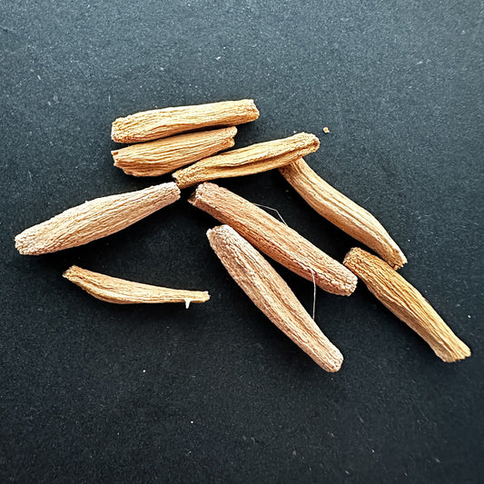 【種】アデニウム・ボエフミアナム[野生採種](ナミビア)/Adenium boehmianum