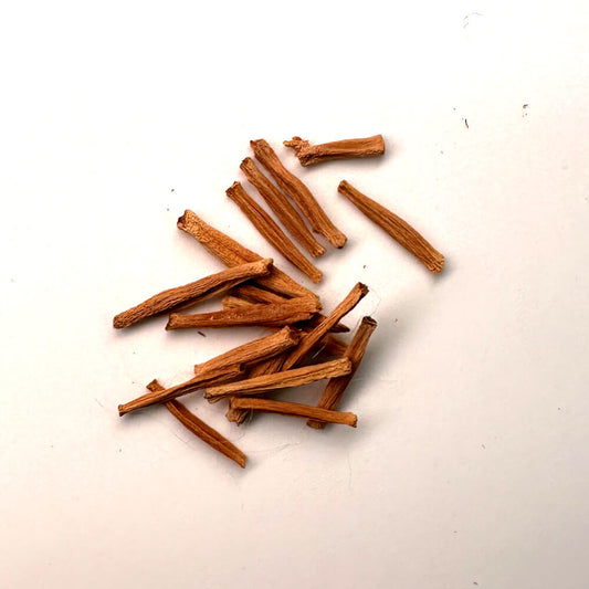 Adenium multiflorum / アデニウム・ムルチフローラム