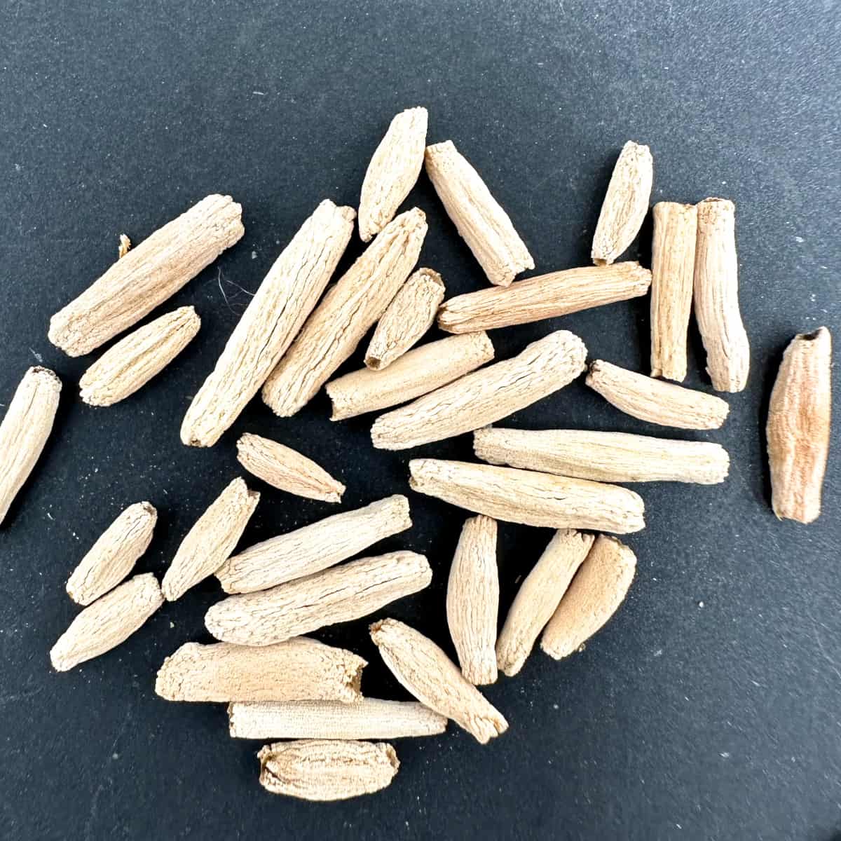 Adenium obesum / アデニウム・オベスム [栽培採種]