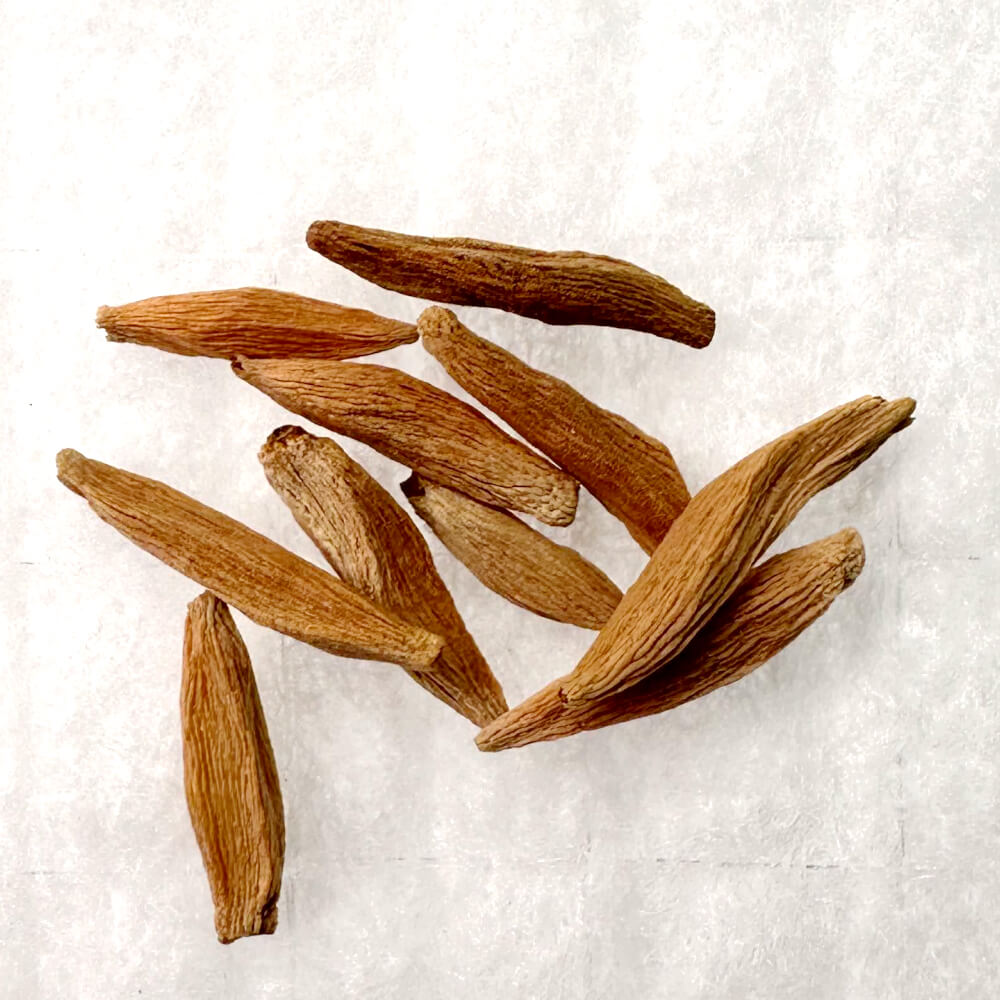 Adenium socotranum / アデニウム・ソコトラナム [野生採種]