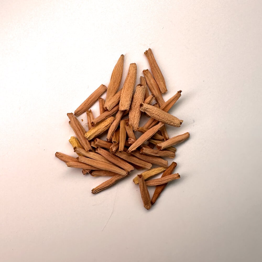 Adenium swazicum / アデニウム・スワジクム