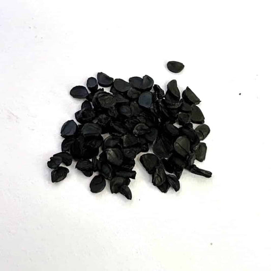 Agave victoriae reginae / アガベ・ビクトリア・レジーナ 笹の雪