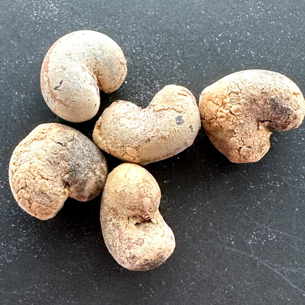 Adansonia za bozy / アダンソニア・ザ・ボジー