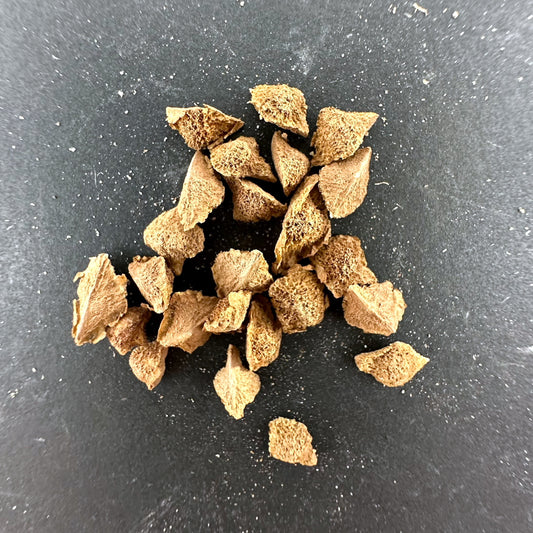 Boswellia sacra / ボスウェリア・サクラ