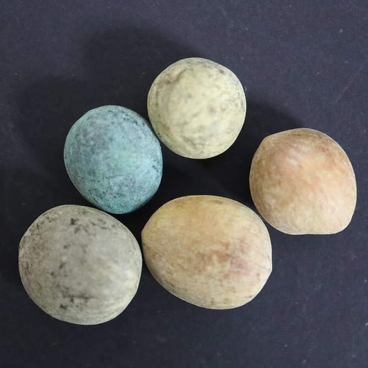 Commiphora kraeuseliana / コミフォラ・クラウセリアーナ