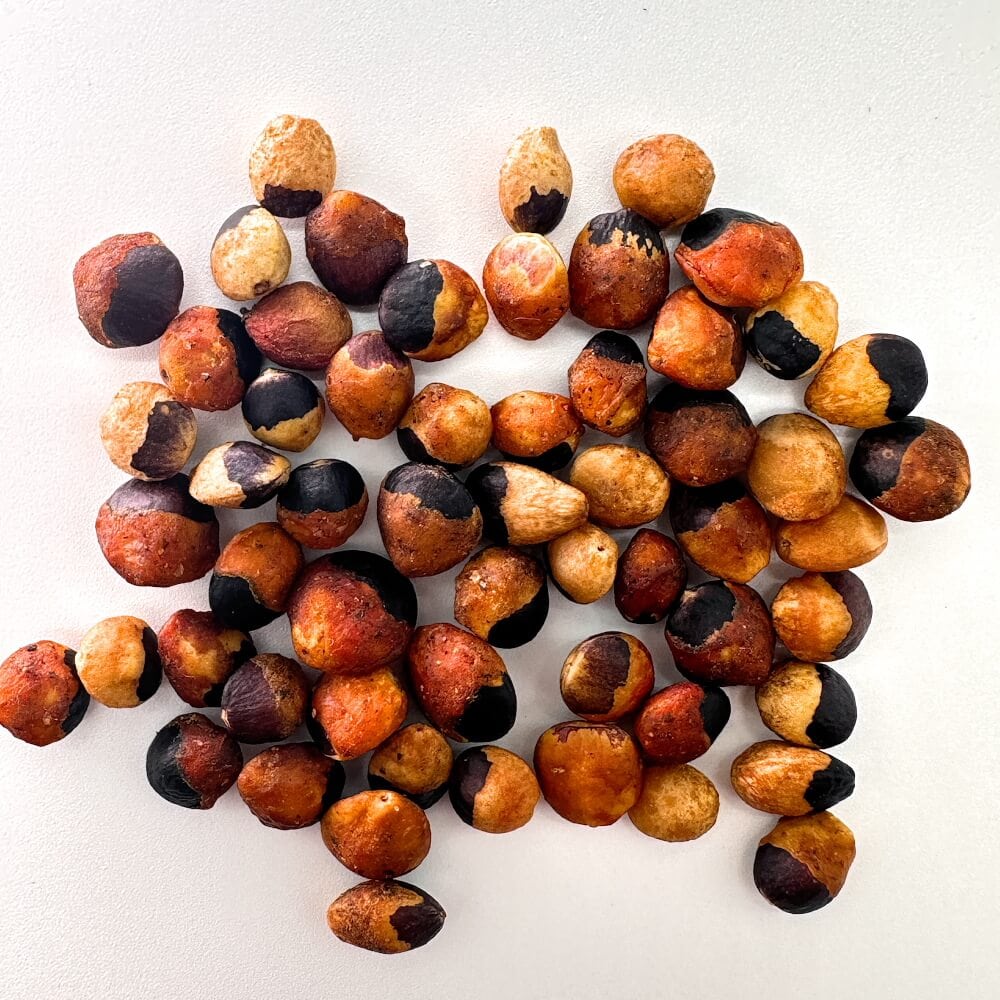 Commiphora orbicularis / コミフォラ・オルビクラリス