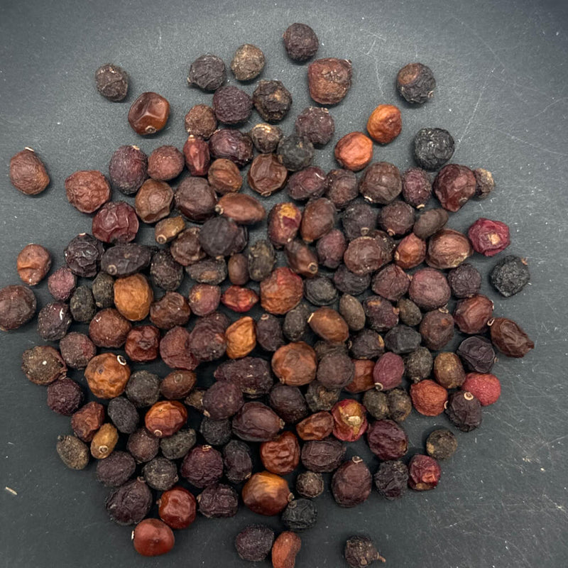 オペルクリカリア(Operculicarya)