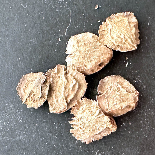 Uncarina grandidieri / ウンカリーナ・グランディディエリ [野生採種]