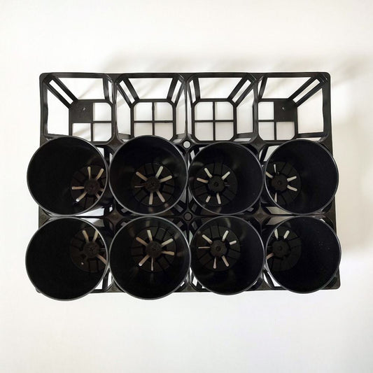 ハーフトレー 3号用 12穴