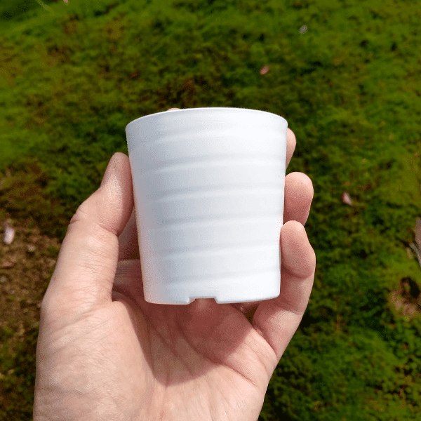 プラ鉢 2 5号7 5cmサイズのプラスチック鉢 小さくおしゃれなポット エケベリア セダム等にもおすすめ プラントブラザーズ