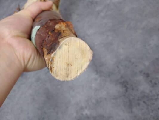 プラントブラザーズ