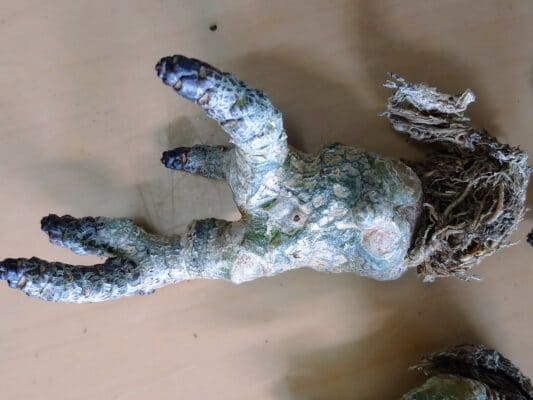 プラントブラザーズ