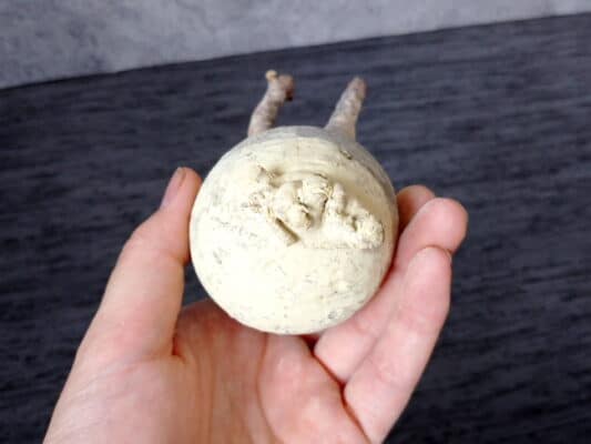 プラントブラザーズ