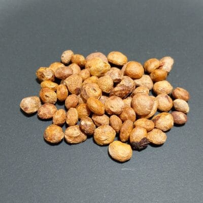 プラントブラザーズ