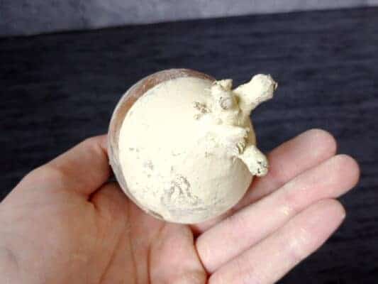 プラントブラザーズ