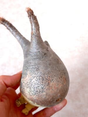 プラントブラザーズ