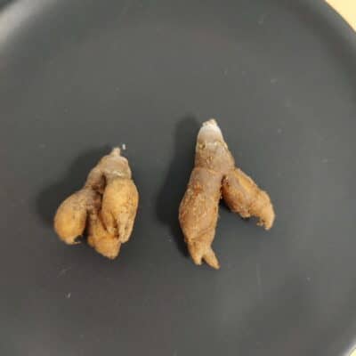 プラントブラザーズ