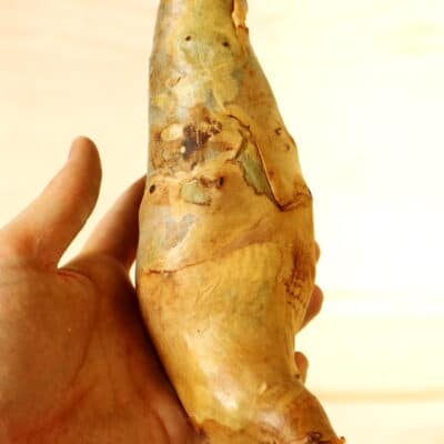 プラントブラザーズ