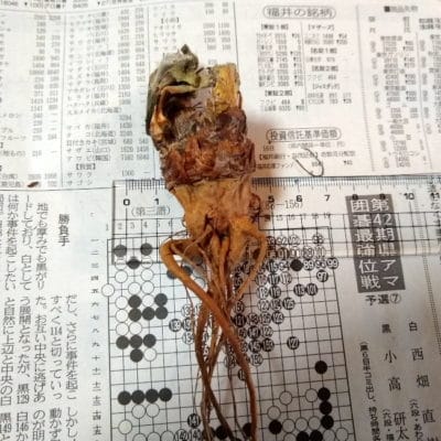 プラントブラザーズ